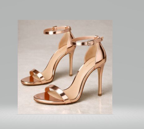 shoe